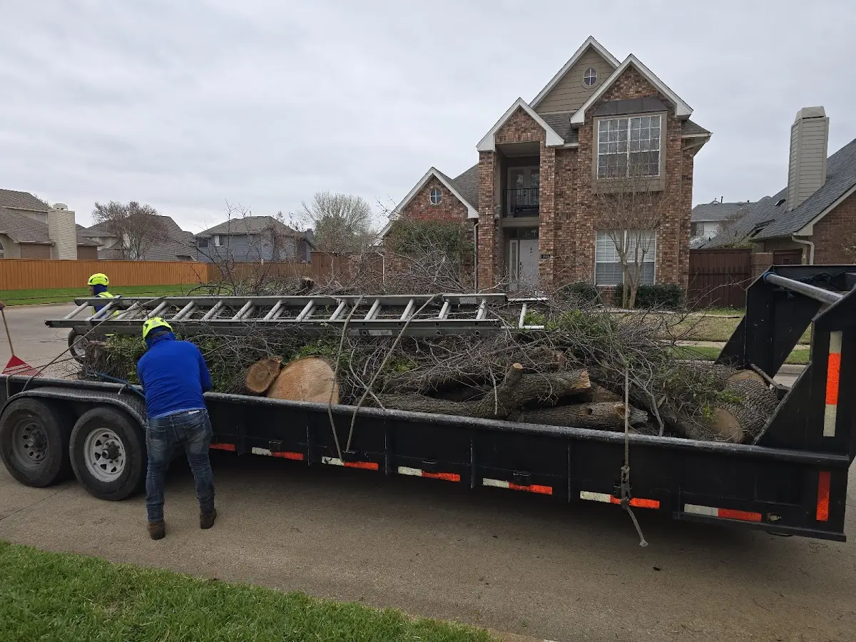 Expert Tree Pest Control with proper safety equipment in Sagaponack